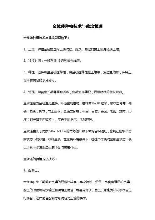 金线莲种植技术与栽培管理