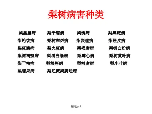 《梨树病虫害防治》