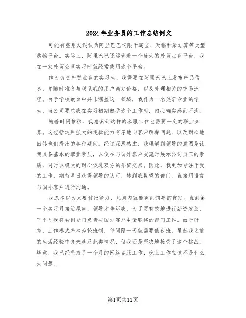 2024年业务员的工作总结例文（六篇）