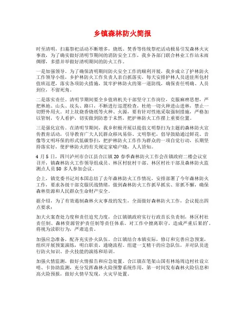 乡镇森林防火简报