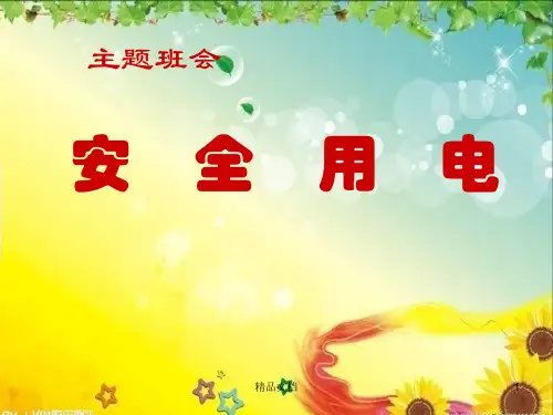学习版安全用电、防火主题班会.ppt