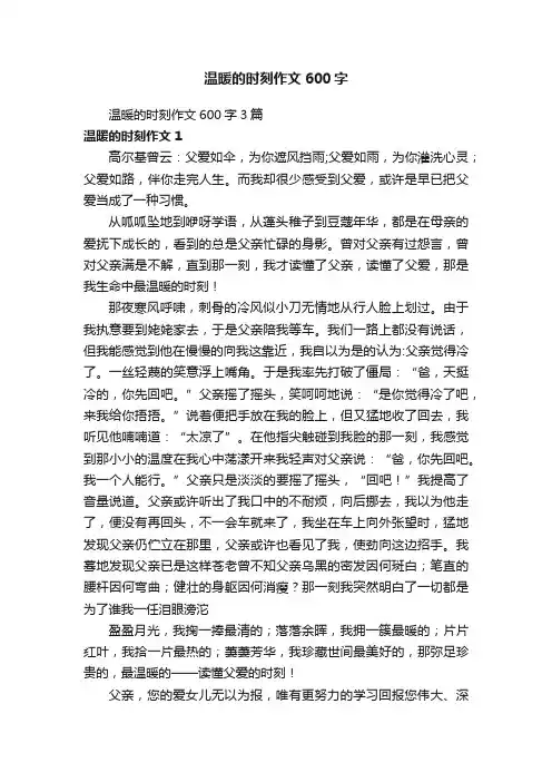 温暖的时刻作文600字3篇