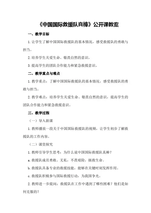 《中国国际救援队真棒》公开课教案