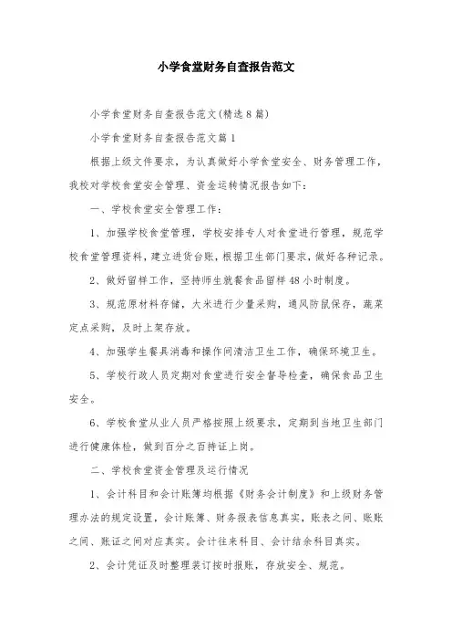 小学食堂财务自查报告范文