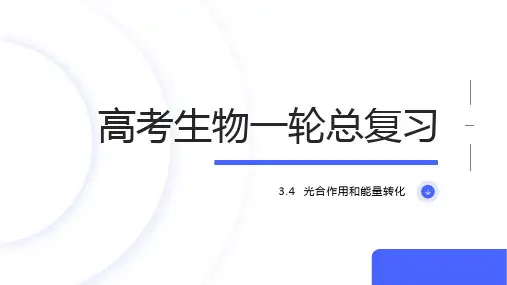 一轮复习5-4：光合作用