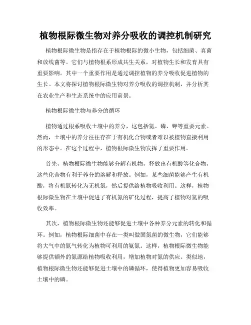 植物根际微生物对养分吸收的调控机制研究