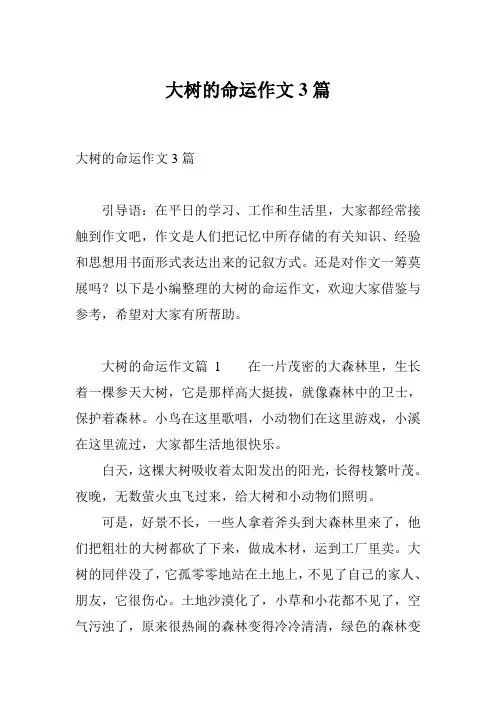 大树的命运作文3篇