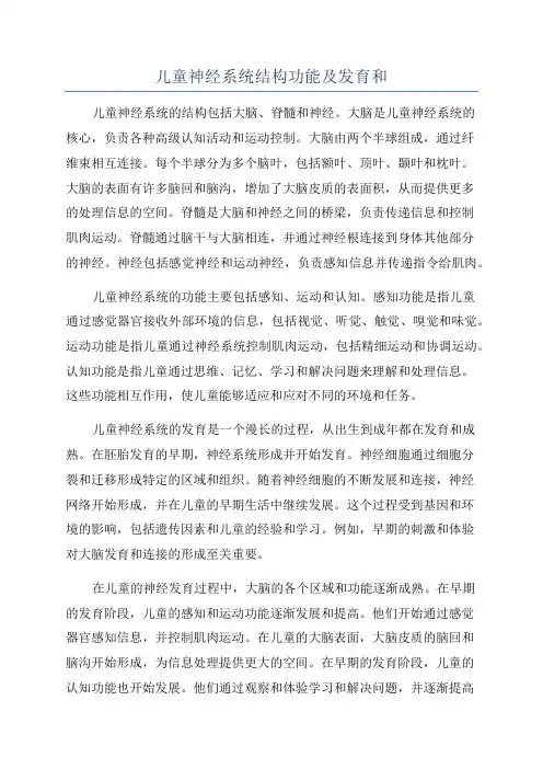 儿童神经系统结构功能及发育和