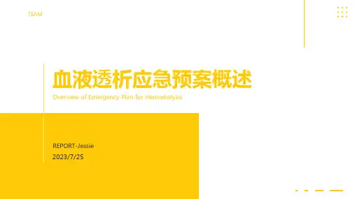 2023年血液透析的应急预案 文档