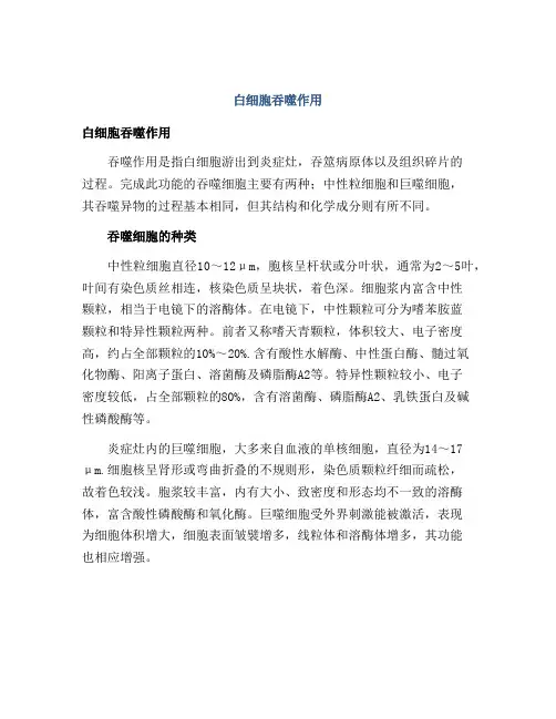 白细胞吞噬作用