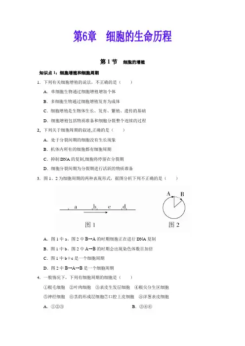 细胞的增殖练习