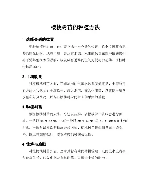 樱桃树苗的种植方法