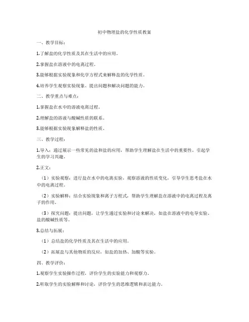 初中物理盐的化学性质教案