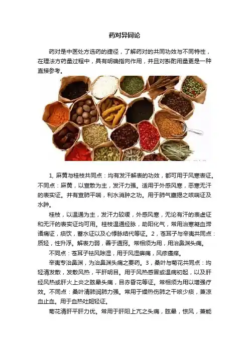 药对异同论
