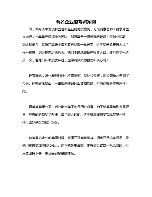 著名企业的筹资案例