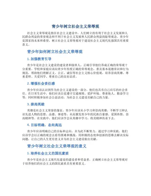 青少年树立社会主义荣辱观