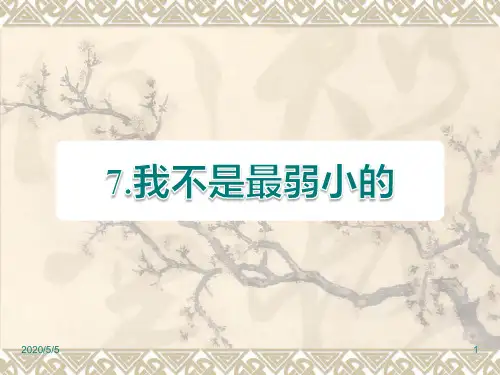 部编人教版版二年级下册语文精品课件：第7课 我不是最弱小的课后作业(B组)