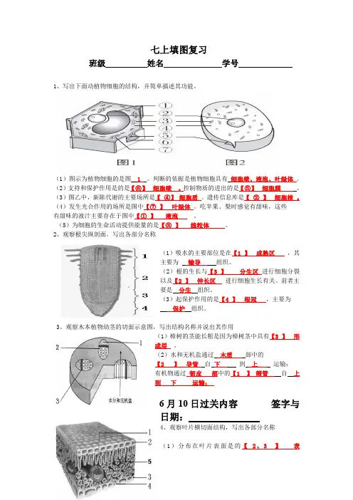 七上生物填图过关练习答案