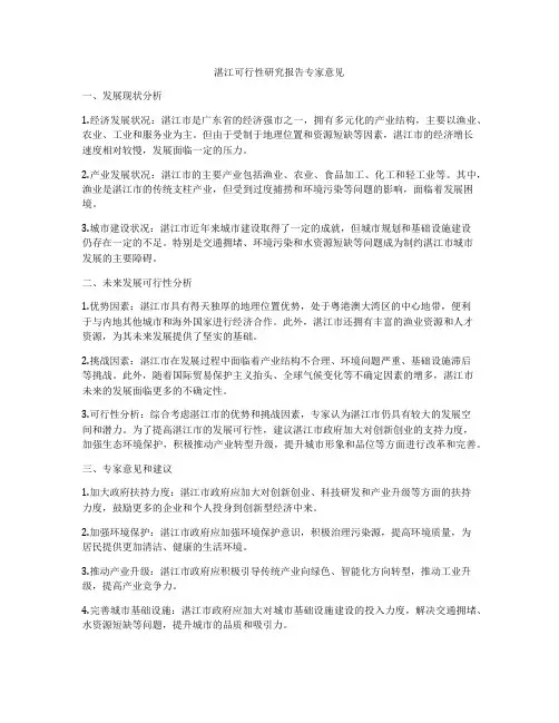 湛江可行性研究报告专家意见