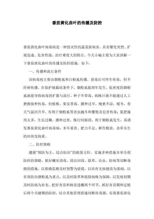 番茄黄化曲叶的传播及防控