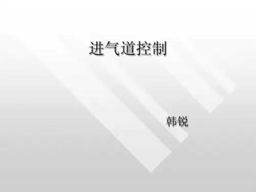 流动稳定-进气道控制