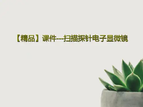 【精品】课件---扫描探针电子显微镜共45页