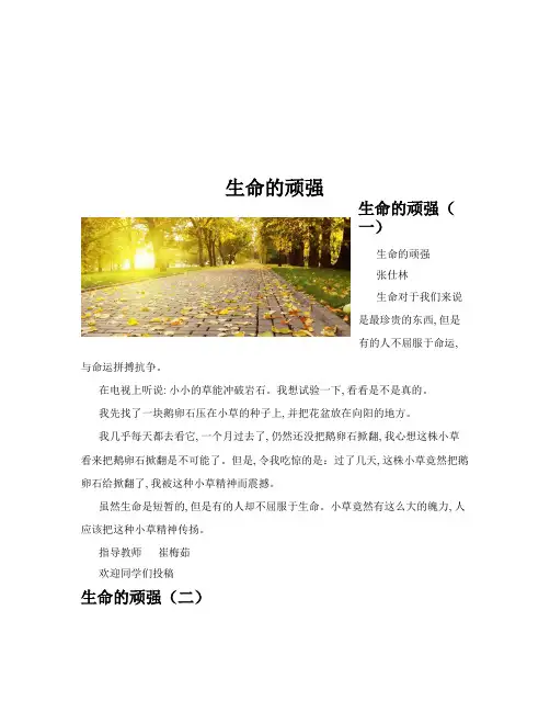 生命的顽强(共10篇)