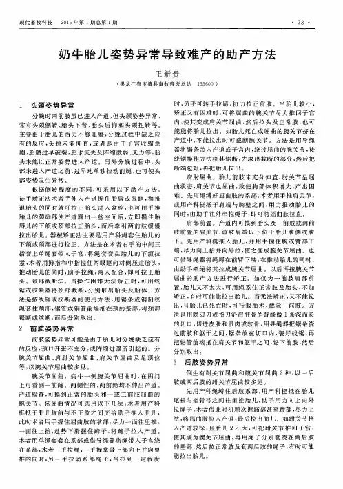 奶牛胎儿姿势异常导致难产的助产方法
