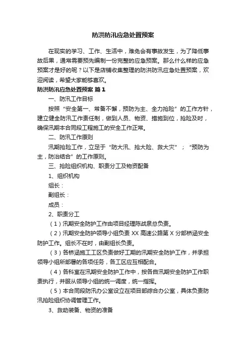 防洪防汛应急处置预案