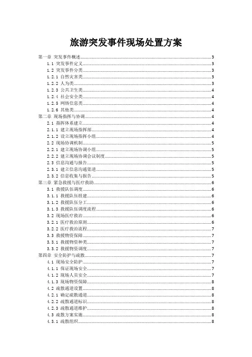 旅游突发事件现场处置方案