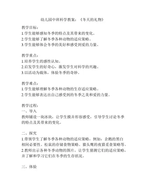 幼儿园中班科学教案：《冬天的礼物》
