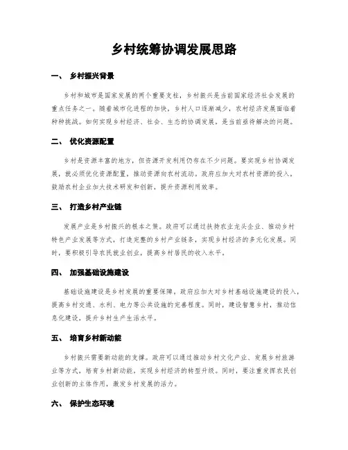 乡村统筹协调发展思路