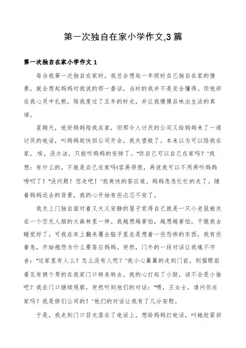 第一次独自在家小学作文,3篇