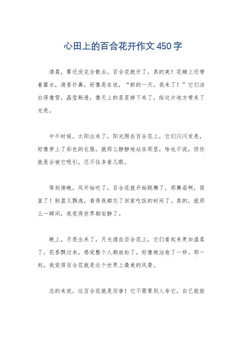 心田上的百合花开作文450字