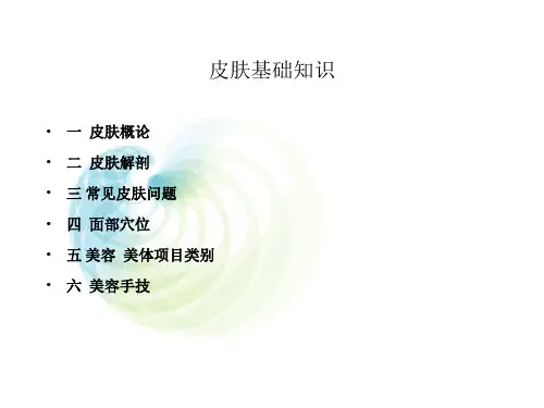 皮肤基础知识 PPT课件