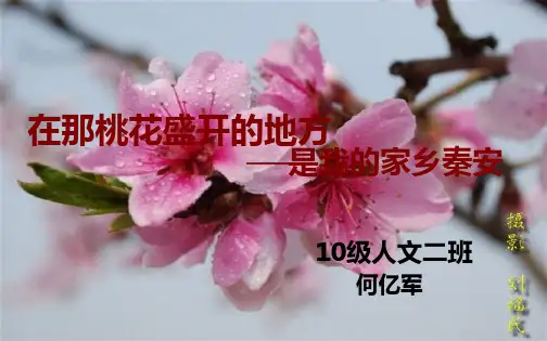 我的家乡,秦安!(PPT演示文稿)