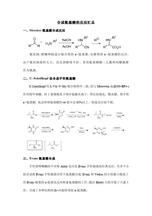 合成氨基酸的反应汇总