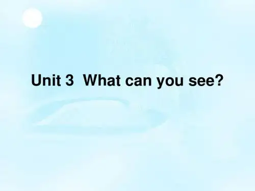 Unit 3 What can you see