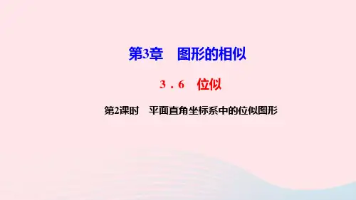 九年级数学上册第3章图形的相似3.6位似第2课时平面直角坐标系中的位似图形作业课件新版湘教版