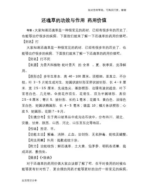还魂草的功效与作用 药用价值