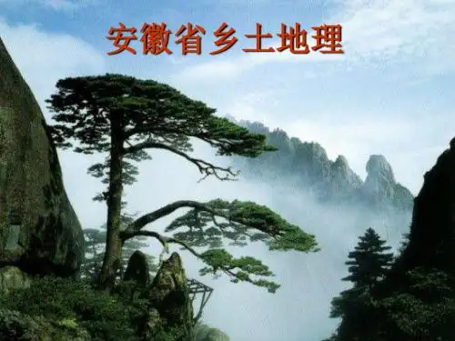 安徽乡土地理()