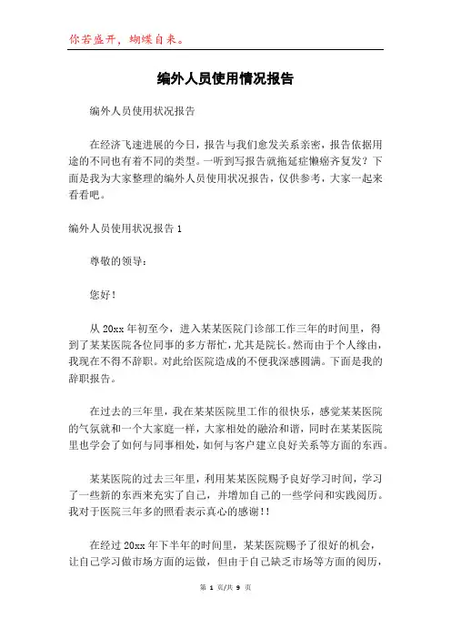 编外人员使用情况报告