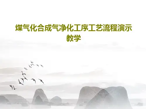 煤气化合成气净化工序工艺流程演示教学56页PPT