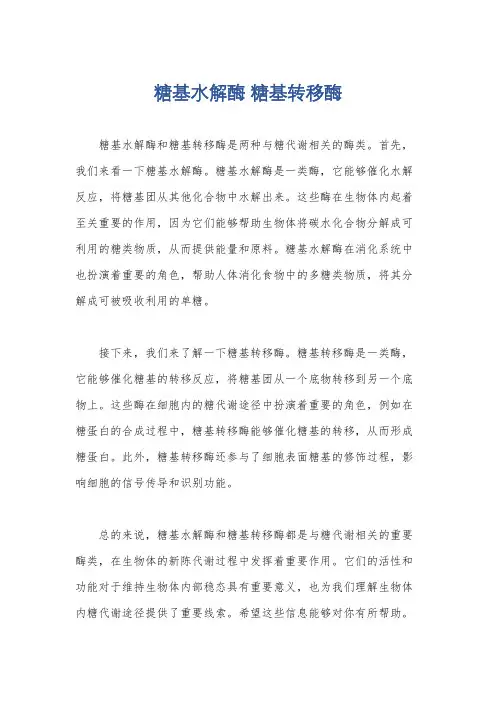 糖基水解酶 糖基转移酶