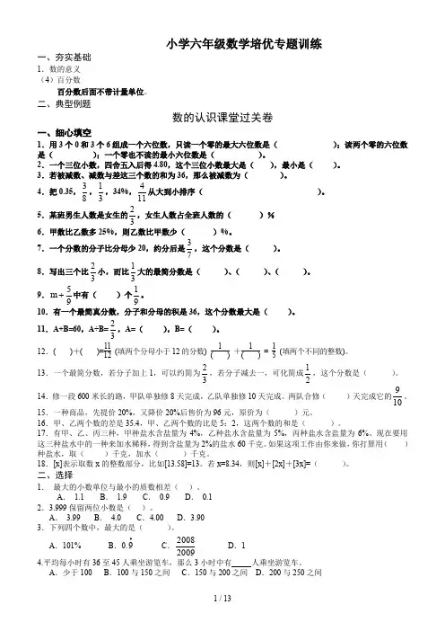小学六年级数学培优专题训练