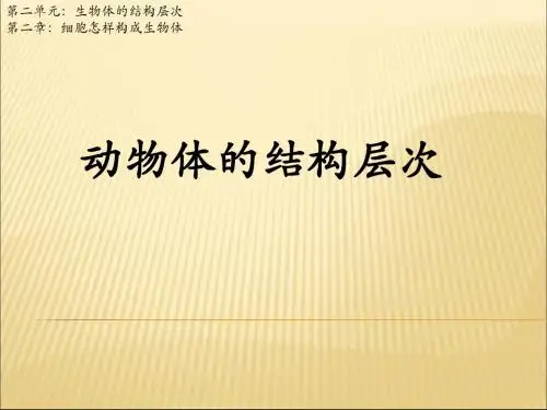 第二节 动物体的结构层次 教学课件