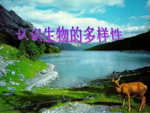 人教版八年级上册生物第六单元第二章__认识生物的多样性课件