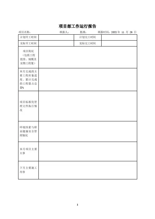 监理项目部工作运行报告
