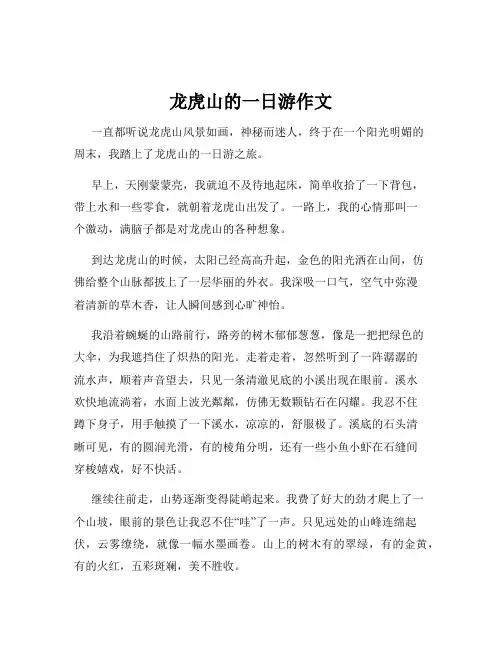 龙虎山的一日游作文