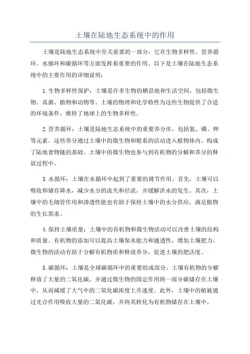 土壤在陆地生态系统中的作用